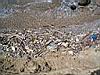 089_kueste_abfall.JPG